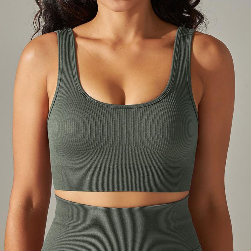 Laranjeiras más populares